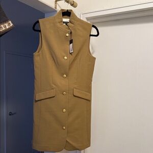 rag & bone Tan Mini Dress with Gold Accents